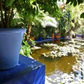 45 - Jardins Majorelle, Marraquexe.jpg